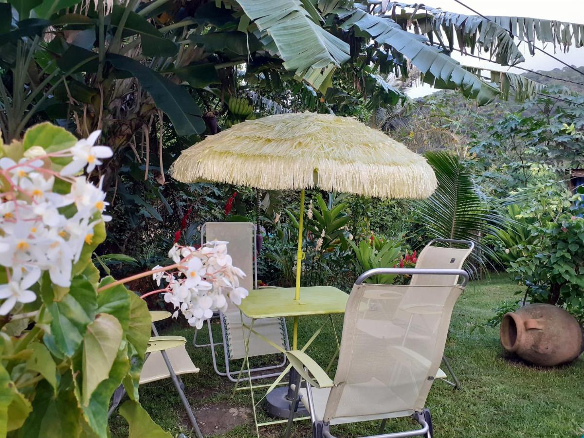 Terrasse Du Piton Bed & Breakfast Deshaies Exterior photo